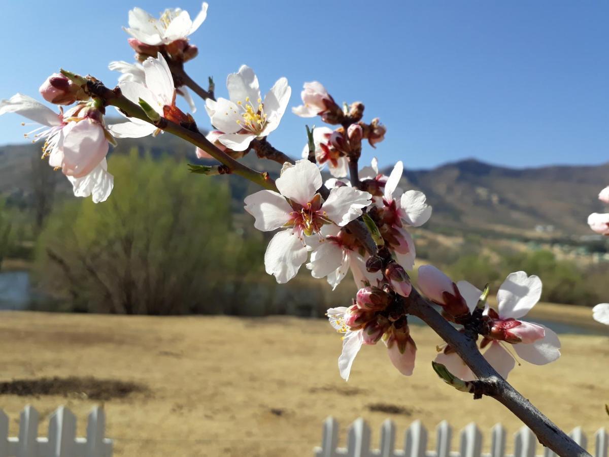 Lake Clarens Guest House Εξωτερικό φωτογραφία