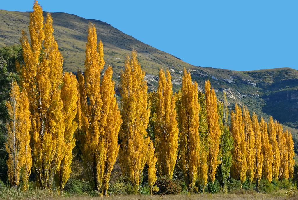Lake Clarens Guest House Εξωτερικό φωτογραφία