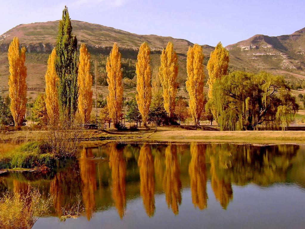 Lake Clarens Guest House Δωμάτιο φωτογραφία